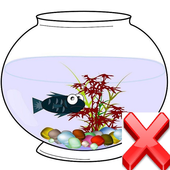 ظروف کوچک ماهی ممنوع