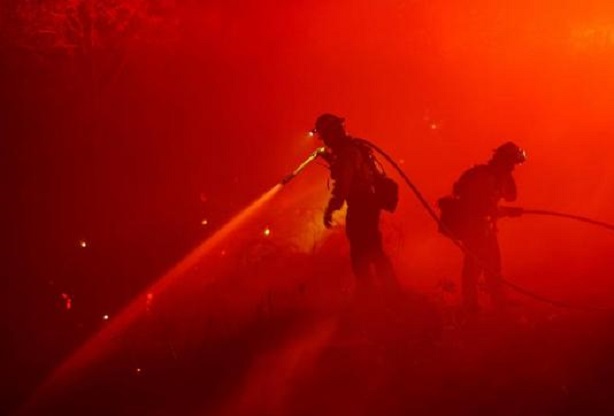 تلاش آتش نشانان و مردم برای اطفای حریق جنگل های کالیفرنیا