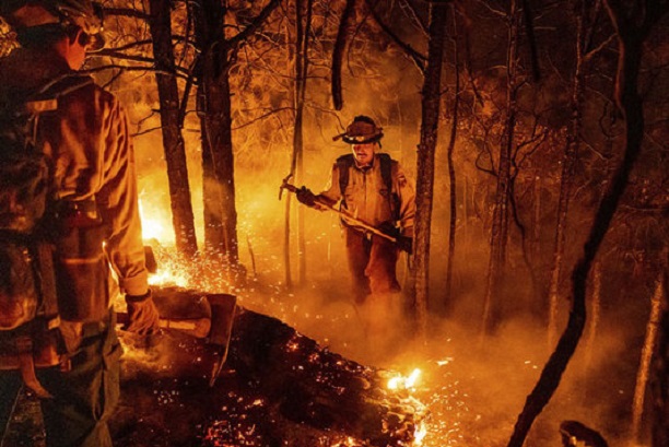 تلاش آتش نشانان و مردم برای اطفای حریق جنگل های کالیفرنیا